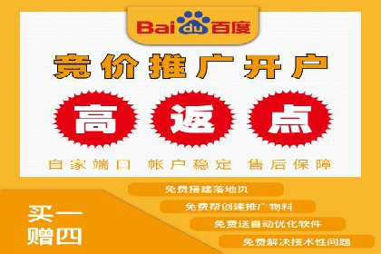 百度优化推广案例：打造行业领先品牌